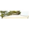 Amicasa Copertura Gazebo 3x4 mt Top per Gazebo Roma