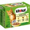 Kitekat in buste 48 x 85 g Umido per gatto - Pollame in Gelatina