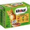 Kitekat in buste 48 x 85 g Umido per gatto - Il Cacciatore in Salsa