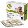 Camon DETOXIVET 60 COMPRESSE