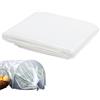 Rairsky 2 m x 3 m Pellicola per Serra Telo per Serra Trasparente Plastica PVC PE Mini Copristendino per Esterno Impermeabile , Protettivo Antigelo Piante Spessore 250 Micron per Giardini Orti Piscine Tetti