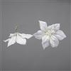 Bianchi Dino XK080_02 Stella Natalizia con Clip, Pvc, Cream, 20 x 5 x 20 cm,