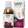 DR.WILLMAR SCHWABE GMBH&CO.KG Kaloba sciroppo 100 ml - Contro il raffreddore di adulti e bambini oltre i 6 anni