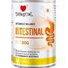 N.P.INDUSTRIES S.R.L. Disugual Diet Cane Intestinal Pollo gr 400- Diete - Umido Per Cani