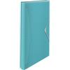 Esselte Cartella Portadocumenti Espandibile in Formato A4 con 5 Divisori e 1 Spazio per i Quaderni, Utilizzabile a Casa e in Ufficio, Gamma Colour'Breeze, 330 mm x 260 mm x 25 mm - Blu