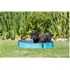 Trixie Piscina per Cani blu d.70x12 cm