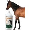 LAB-V lLab-v Flaxseed Oil - Olio di semi di lino 100% spremuto a freddo per cavalli 1000 ml