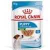 Royal Canin SHN WS Mini Puppy 85 Gr x 12 Pz (PREZZO A BUSTINA)