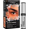 L'OREAL PARIS L'Oréal Paris Infaillible Brow Lamination Gel per Sopracciglia Effetto Laminazione Professionale Trasparente + Tinta Semi Permanente per Sopracciglia Effetto Naturale Colore 1.0 Black - Set da 2