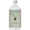 SUCCO ALOEVERA+ ALOE/MIRT R1LT