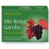 ERBAMEA VITE ROSSA GAMBE TISANA BIO