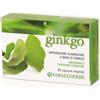 FARMADERBE GINKGO BILOBA 60CPS