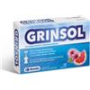 GRINSOL 15FX5ML