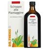 THEISS PIANTAGGINE 250ML