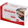 SHIITAKE ESTRATTO SECCO 60CPS