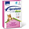 FIPRALONE DUO 4PIP 1-6KG GATTI