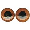 Rayher Occhi di Vetro per Animali da Applicare, Marrone, Busta 10 Pz 10Mm Ø, 8904205