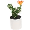 LIFKOME Cactus di simulazione piante artificiali arredamento del tavolo stelo di mini cactus finti ornamento pianta modello di cactus in vaso cactus artificiale Succulente piccolo bonsai