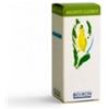 Boiron Rosmarinus Off 60ml Mg