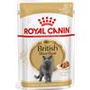 ROYAL CANIN CAT WF BRITISH SHORTHAIR 85 Gr x 12 Pz (PREZZO A BUSTINA)