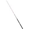 Daiwa Canna Traina Daiwa NT Trolling It Model, Grammi / Lbs 12 - 20 Lbs