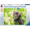 RAVENSBURGER PUZZLE ANIMALI RAVENSBURGER GATTINO NEL PRATO 500 PZ