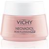 VICHY (L'Oreal Italia SpA) Neovadiol Rose Platinum Night Crema Viso Notte 50 ml