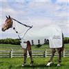 Horses, Coperta Antimosche in Rete Silver Sheet Plus, per la Stagione Estiva, Riflette Luce e Calore, Tessuto in Rete Fitta Contro Mosche ed Insetti, 145 cm