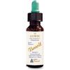 ALCHIMIA BENOIT Srl FIORI DI BACH BENOIT GORSE 10 ML