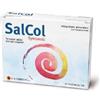 AVICENNA NATURAL INSTITUTE Srl Salcol 12 bustine - AVICENNA - 930404761