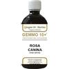 Dr. Giorgini Gemmo 10+ Rosa Canina Liquido Analcolico 500 Ml