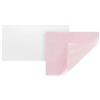 Shiseido Oil Control Blotting Paper 100 Sheets