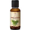 AROMATIKA trust the power of nature Olio Essenziale di Pino Silvestre 50 ml - Pinus sylvestris - Naturale e Puro - Olio essenziali per Diffusori - Profumi per la Casa - Saponi e Candele - Sauna - Aroma Fresco - Aromaterapia