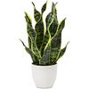 Hollyone Pianta artificiale di serpente in vaso bianco, pianta finta in vaso per tavolo, gialla e verde finta Sansevieria per decorazione domestica, cucina, bagno, soggiorno, decorazioni per mensole