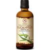 AROMATIKA trust the power of nature Olio Essenziale di Eucalipto 100ml - Eucalyptus Globulus - Naturale e Puro al 100% - Allevia la Tensione - Buon Umore - Rilassante - Può Essere Usato in Diffusori ad Ultrasuoni - Bagno - Sauna - SPA