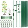 ShengBiLong Bastoncini per Orchidee, 20 Pezzi Supporto per Piante Stabilizzare, Viene Fornito con 20 Moschettoni con 10 Tubi di Srolunga, Sostegno per Piante, Tutori per Piante (90 PCS)
