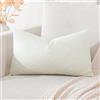 Artscope Federe Cuscini in Velluto Minimalista Copricuscino Colorato per la Decorazione Domestica Soggiorno Camera da Letto Divano 30x50cm, Beige Crema