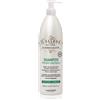 Alfaparf Milano Il Salone Milano Keratin 1000 ml
