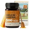 NaturalePiù Miele di Manuka 500+ MGO 500g. Dalla Nuova Zelanda. Certificato in Laboratorio. Miele Balsamico Puro. Mono Floreale, Ideale per la Cura delle Ferite. Tè, Cereali e Prodotti da Forno.