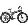 Ridstar H26 Pro Bicicletta elettrica, pneumatici grassi da 26*4.0 pollici, motore da 1000W, batteria da 48V/20Ah