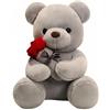 wiztex Orsacchiotto Peluche - 23 cm Adorabile Orso Peluche per Compleanni, Natale e San Valentino | orsetto regalo per bambini (Grey)