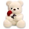 wiztex Orsacchiotto Peluche - 23 cm Adorabile Orso Peluche per Compleanni, Natale e San Valentino | orsetto regalo per bambini (White)