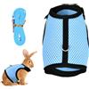 Tibapla Pettorina Regolabile per Conigli, Guinzaglio per Gatti, Confortevole Imbracatura per Coniglio con Elastico Guinzaglio Morbido Pettorina Traspirante per Piccoli Animali Gatti Criceti (Blu, S)