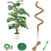 RYHX 125CM Palo del Muschio per la Pianta,Bastone di Muschio Pieghevole,Porta Piante Rampicanti per Piante da Interno con Velcro e Spago（1×125CM）