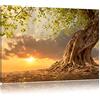 Pixxprint albero Stampa su tela 80x60 cm artistica murale