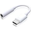 Raykce Adattatore Jack per Cuffie USB C a 3.5mm, Cavo Audio per Cuffie da USB C a Jack Aux - Adattatore USB C Jack Compatibile con P40/P30 Iphone Samsung S23/Note20