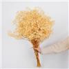 NatureMan Bouquet di fiori secchi per bambini, 1500+ fiori bianchi, rami di gypsophila naturali da 43 cm, per decorazione di vasi da tavolo per matrimoni, ghirlande floreali fai da te, decorazioni per la casa
