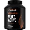 SELF OMNINUTRITION MICRO WHEY ACTIVE proteine del siero del latte isolate 2kg GUSTO CIOCCOLATO