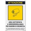 Cartelli Area Sottoposta a Videosorveglianza ART. 35/20711-00