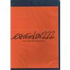 TERMINAL VIDEO ITALIA SRL Evangelion:2.22 You Can'T (Not) Advance (Blu-ray) Cartoni Animati